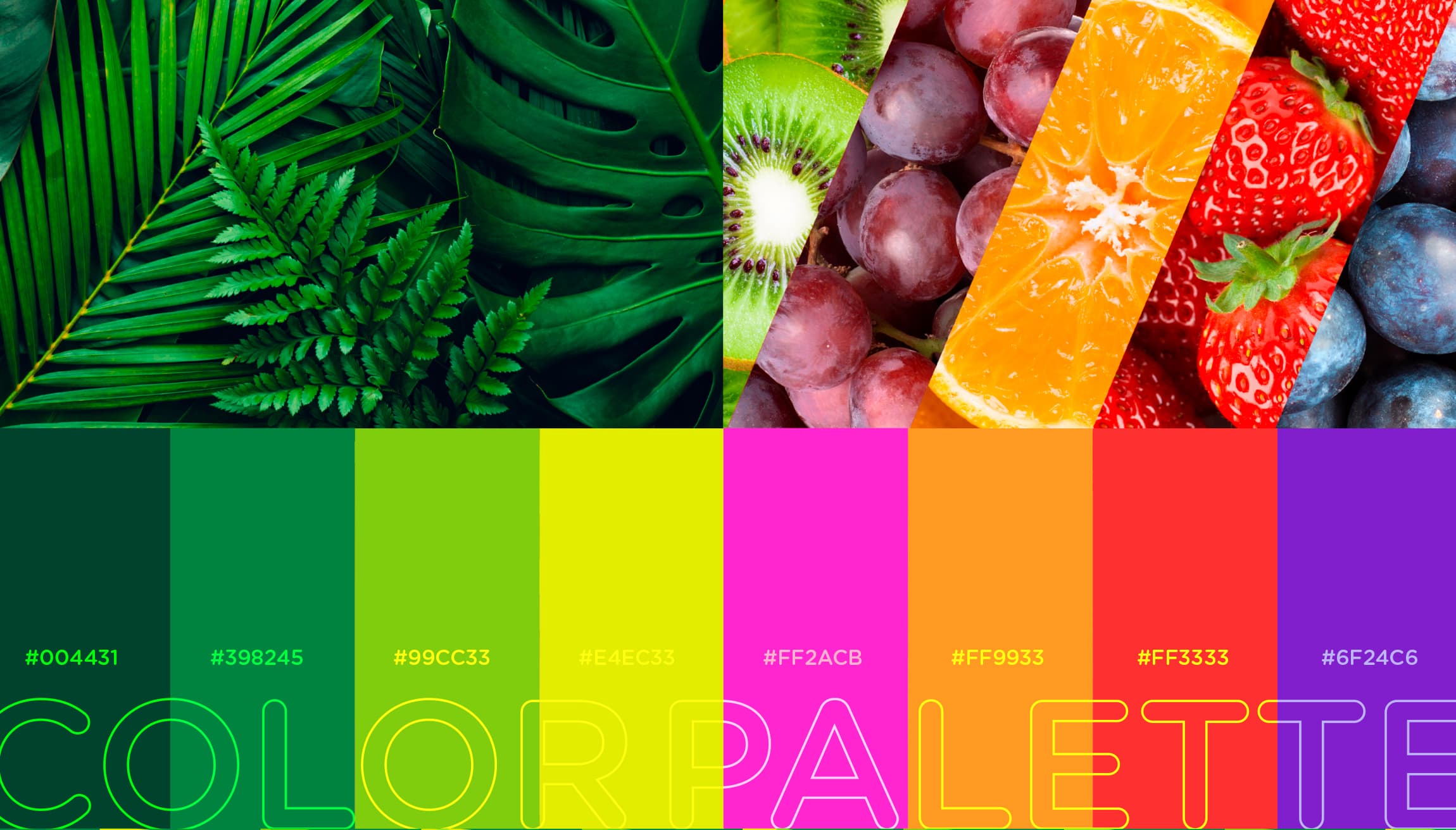TROPICS